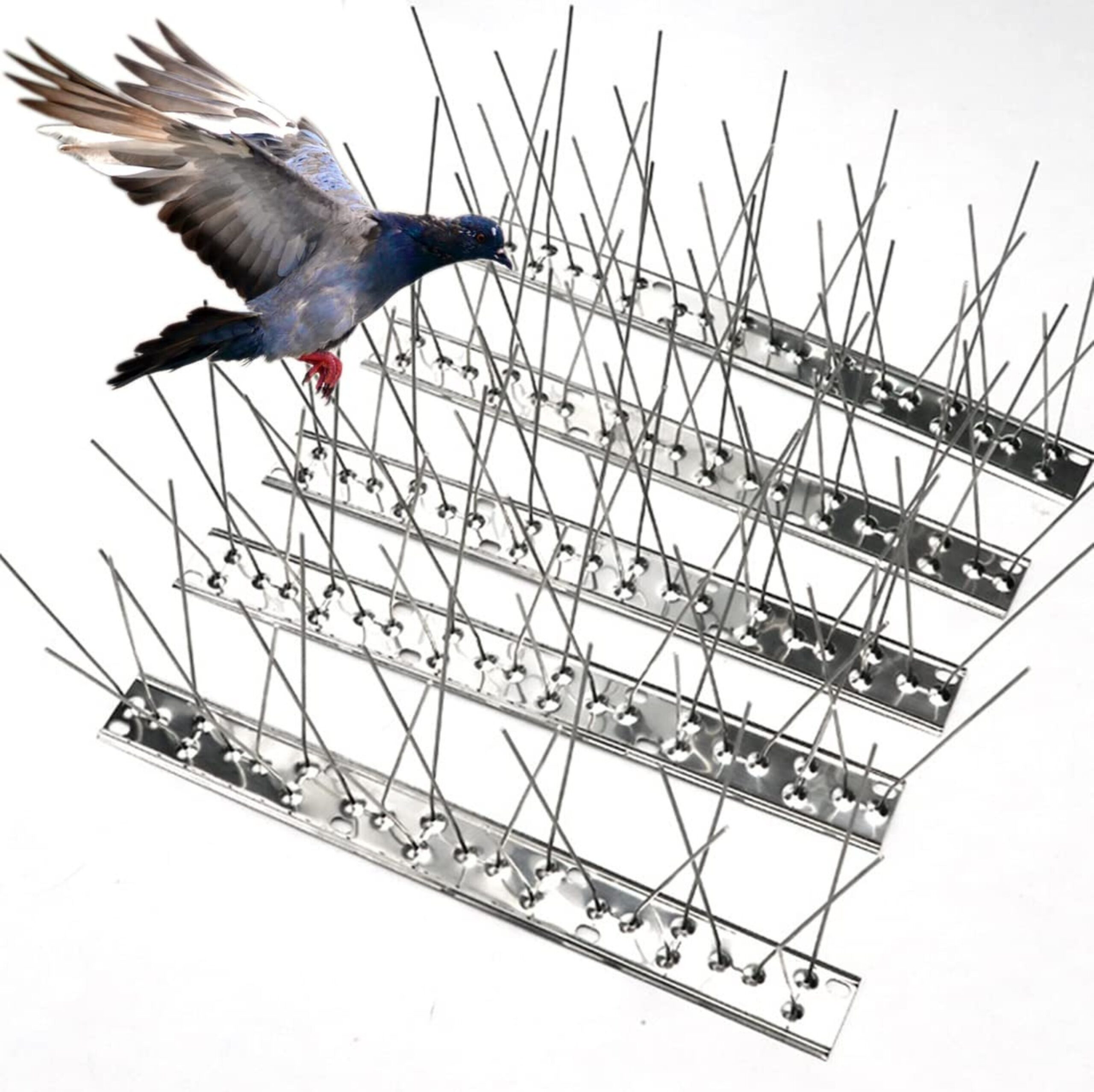 Premium Bird Spikes for Bird Control – Anti-Roosting Stainless Steel Spikes for Walls, Roofs & Ledges - Image 2