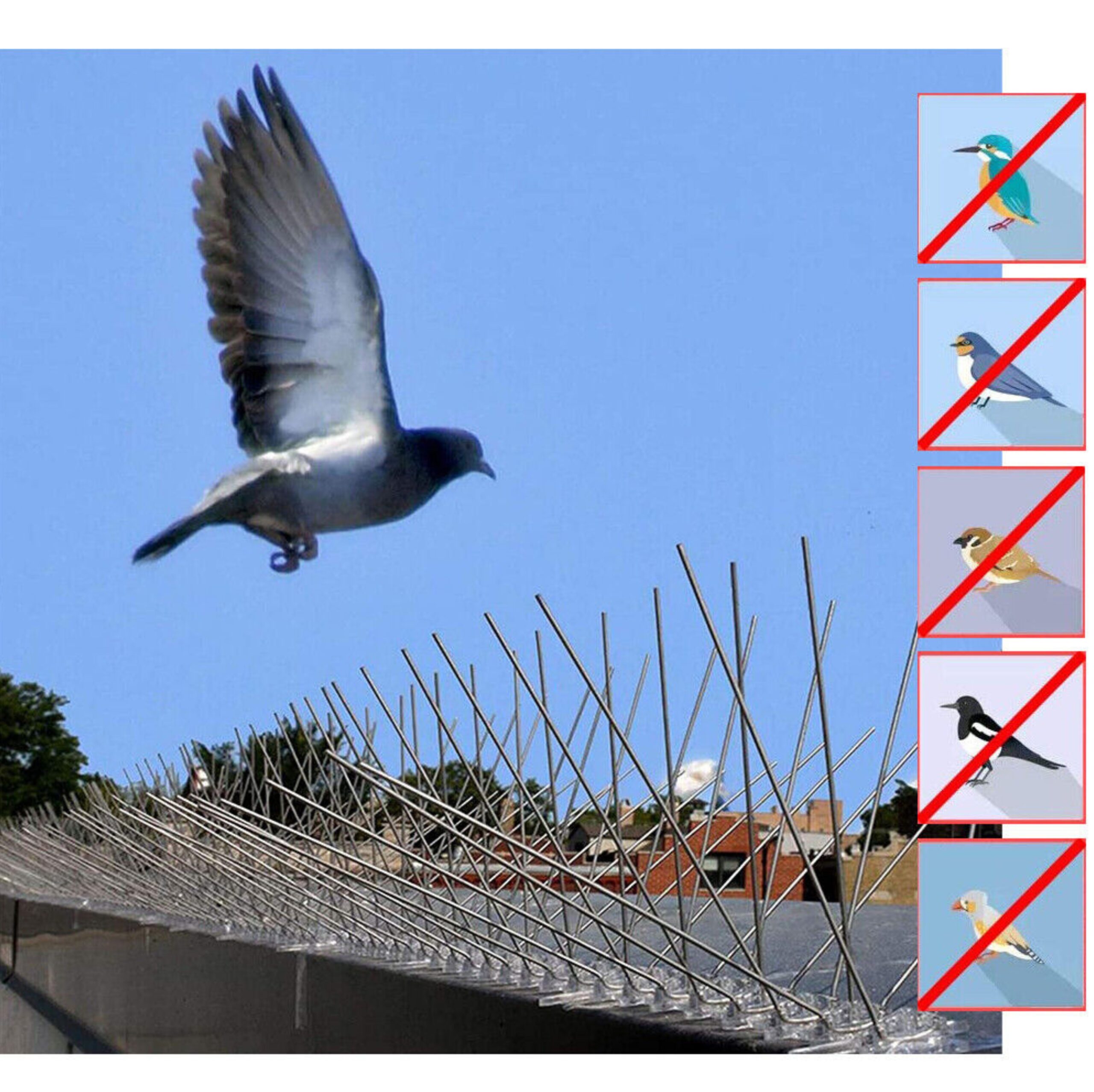 Premium Bird Spikes for Bird Control – Anti-Roosting Stainless Steel Spikes for Walls, Roofs & Ledges - Image 11