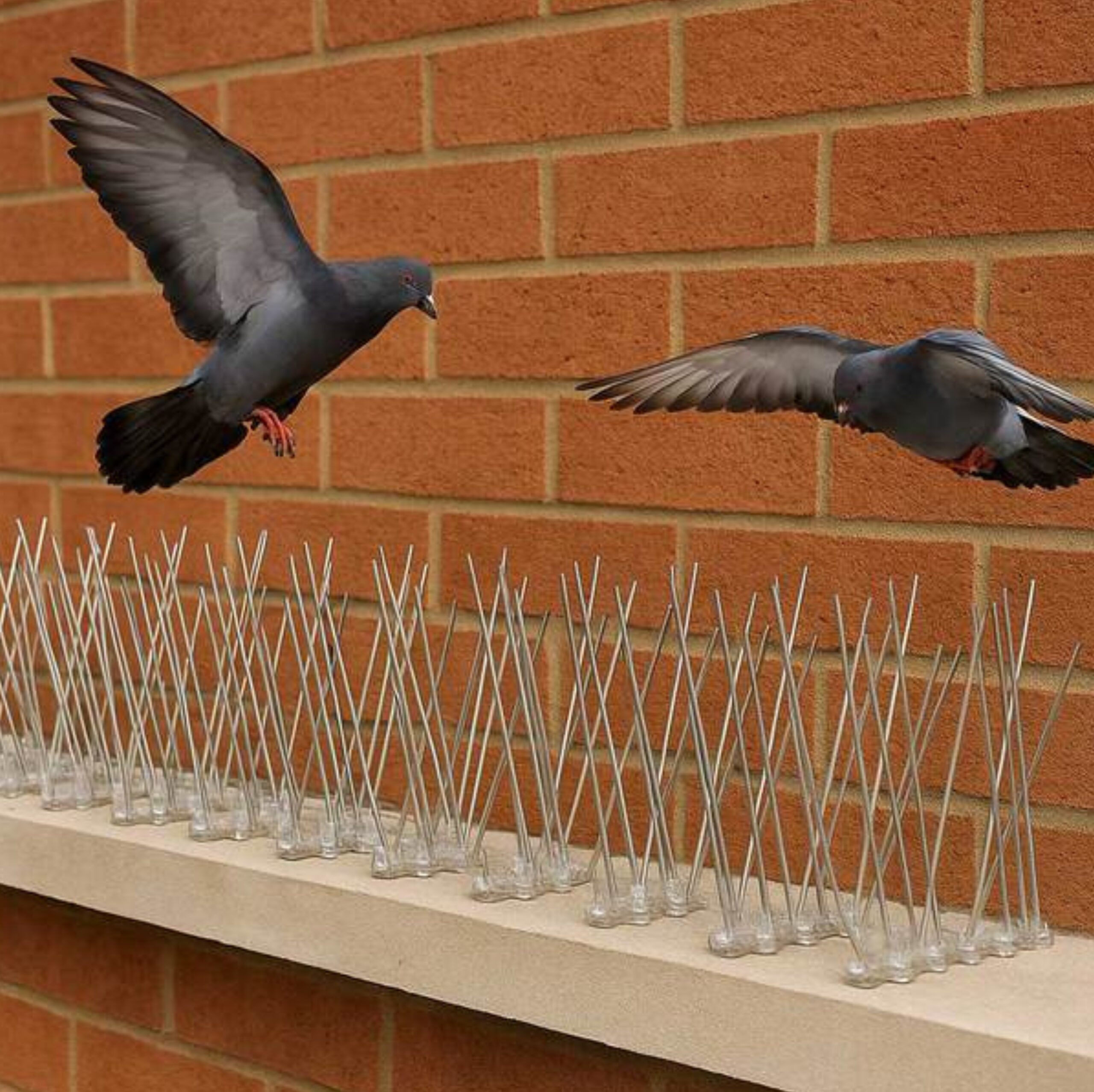Premium Bird Spikes for Bird Control – Anti-Roosting Stainless Steel Spikes for Walls, Roofs & Ledges - Image 5