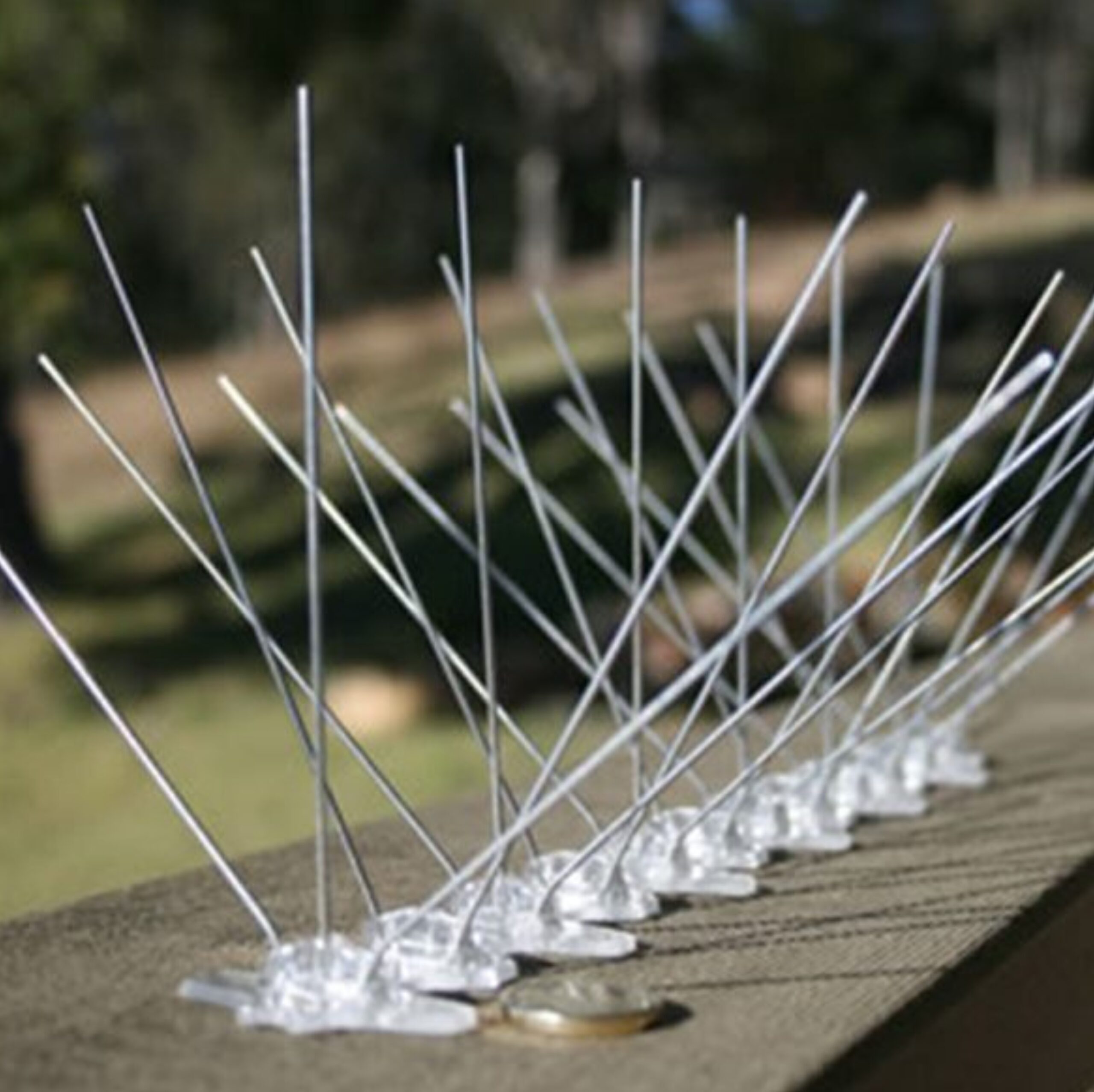 Premium Bird Spikes for Bird Control – Anti-Roosting Stainless Steel Spikes for Walls, Roofs & Ledges - Image 6